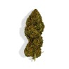 CBD - CANDY KUSH