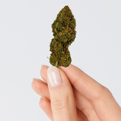 CBD - CANDY KUSH