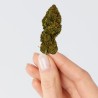 CBD - CANDY KUSH