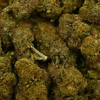 CBD - CANDY KUSH