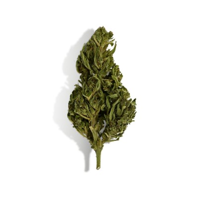 CBD - EUPHORIA