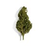 CBD - EUPHORIA