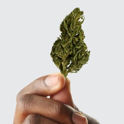 CBD - EUPHORIA
