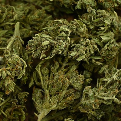 CBD - EUPHORIA