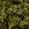 CBD - EUPHORIA