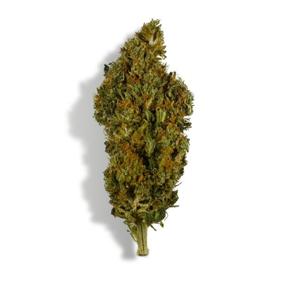 CBD - SHERBET