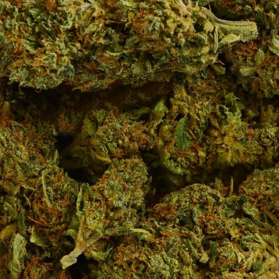 CBD - SHERBET