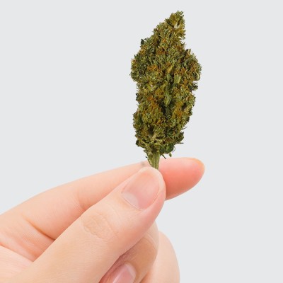 CBD - SHERBET