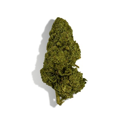 CBD - BZ1