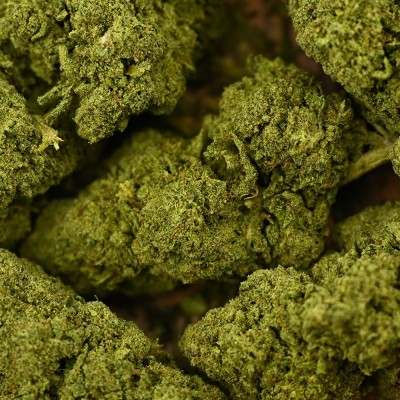 CBD - BZ1