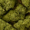 CBD - BZ1