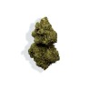 CBD - RAINBOW KUSH