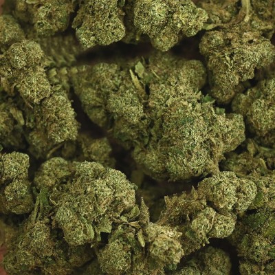 CBD - RAINBOW KUSH