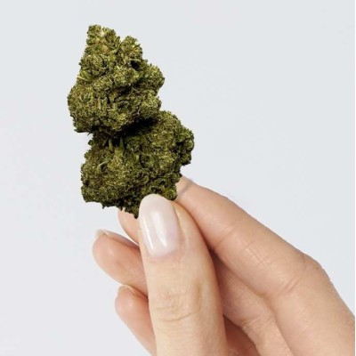 CBD - RAINBOW KUSH