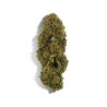 Coffret découverte débutant fleurs CBD
